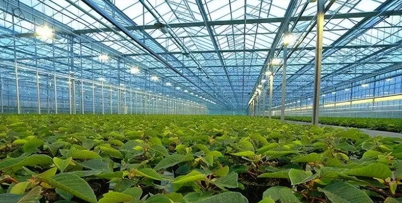 智慧農業(yè)八大應用場景之畜牧漁業(yè)飼料管理