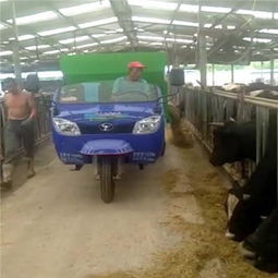 高效畜牧養(yǎng)殖利器 撒料車與TMR攪拌車如何顯著降低飼料成本